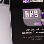 Top 3 WooCommerce Plugins that You Must Invest In