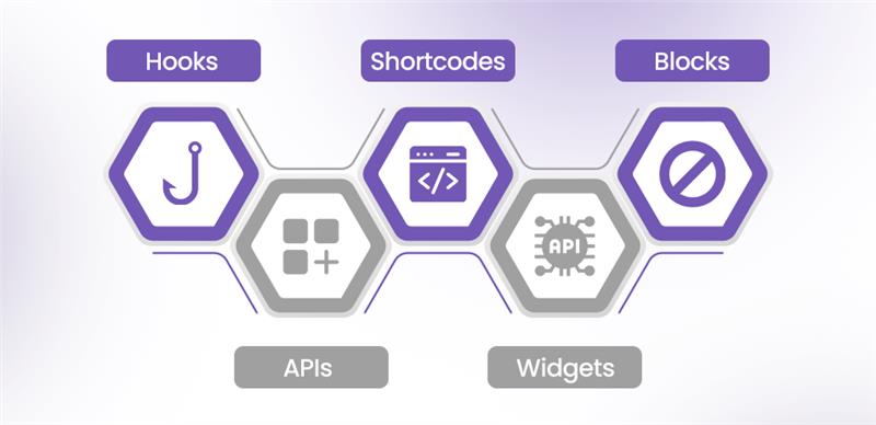 Fundamental Concepts of WordPress Plugin Development