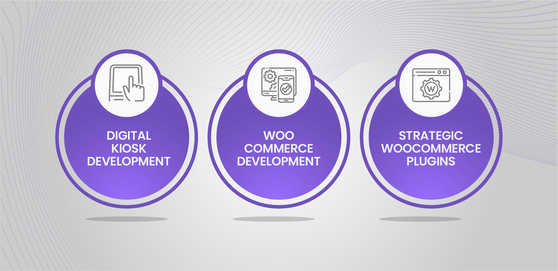What WPKoders Can Attain for You?